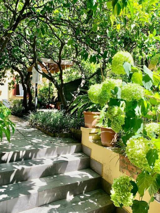 Casa Adele Apartment Monterosso al Mare Ngoại thất bức ảnh