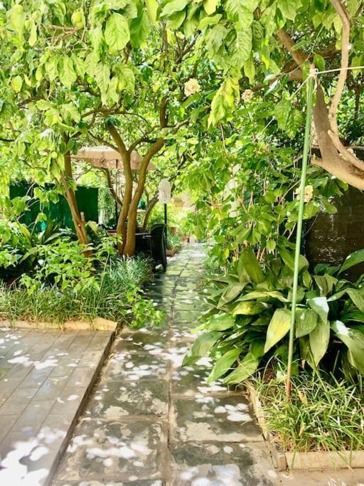 Casa Adele Apartment Monterosso al Mare Ngoại thất bức ảnh